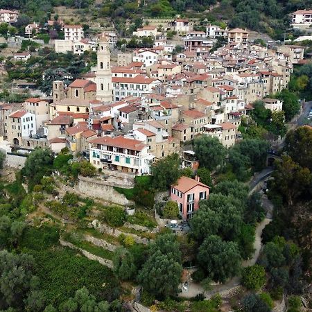 U Ciousu By Ligurian Life Appartamenti In Agriturismo Vallebona Ngoại thất bức ảnh
