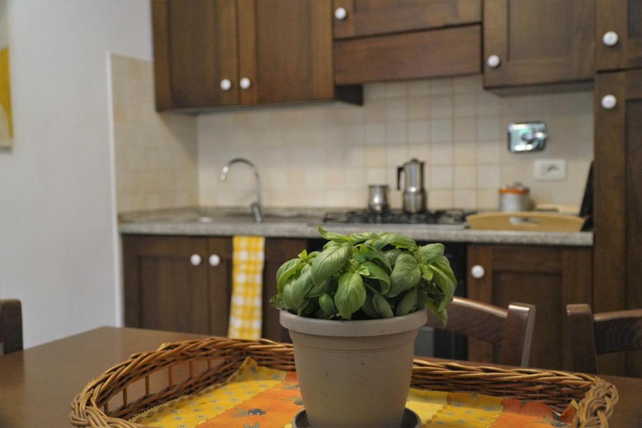 U Ciousu By Ligurian Life Appartamenti In Agriturismo Vallebona Ngoại thất bức ảnh