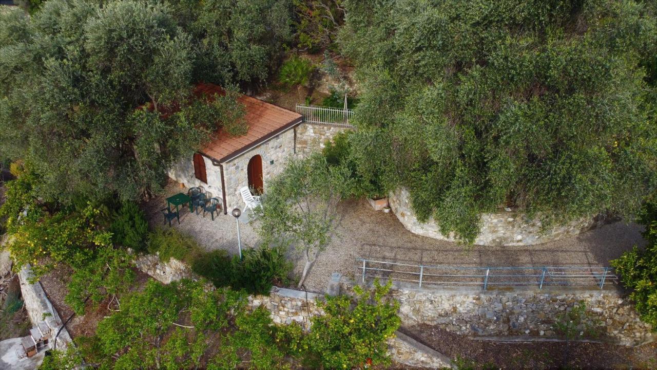 U Ciousu By Ligurian Life Appartamenti In Agriturismo Vallebona Ngoại thất bức ảnh