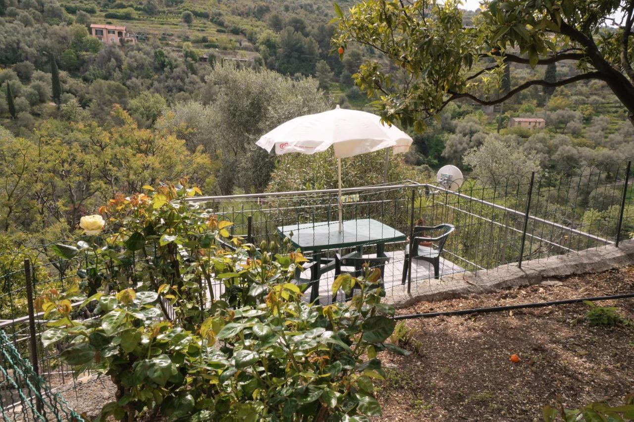 U Ciousu By Ligurian Life Appartamenti In Agriturismo Vallebona Ngoại thất bức ảnh