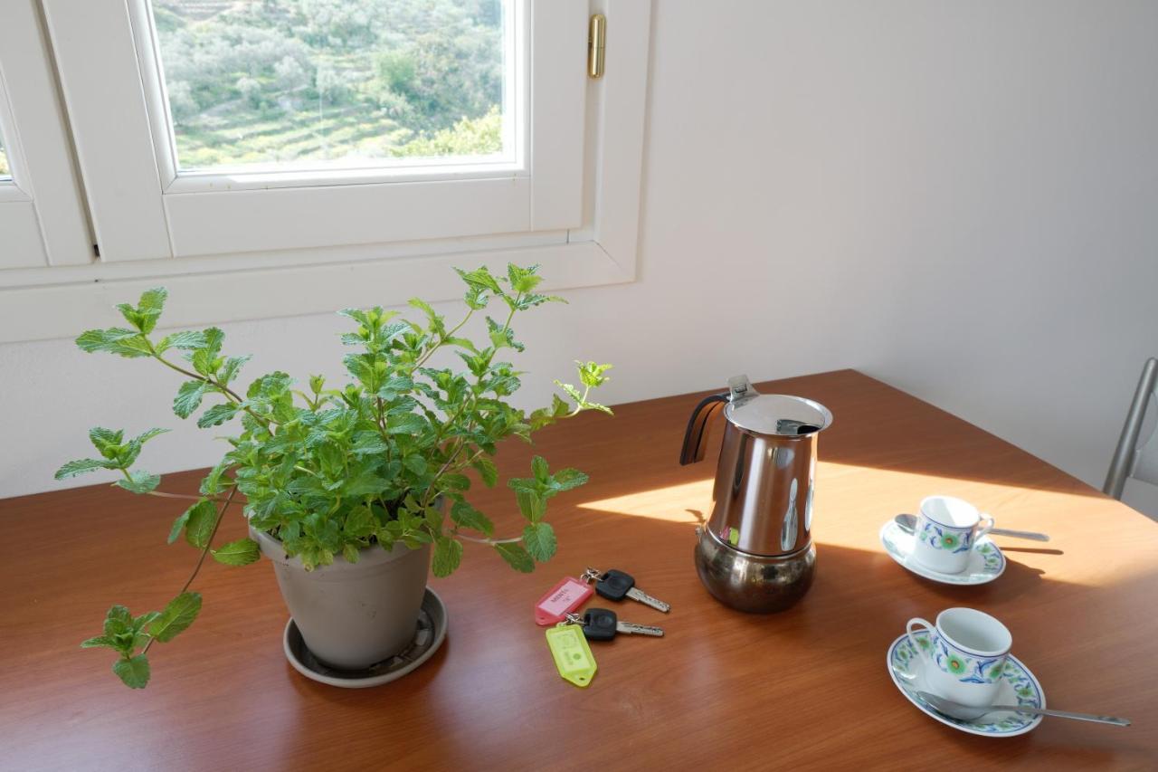 U Ciousu By Ligurian Life Appartamenti In Agriturismo Vallebona Ngoại thất bức ảnh