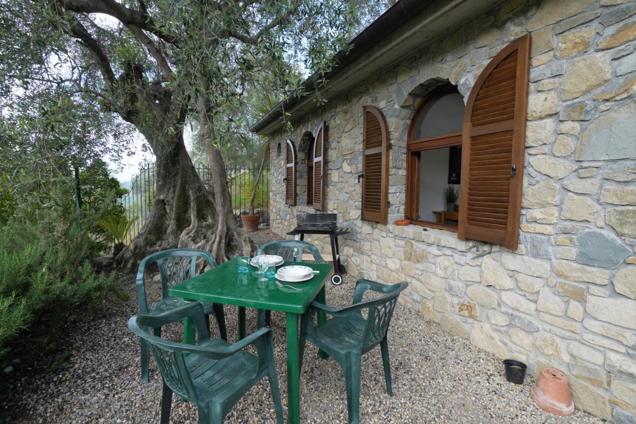 U Ciousu By Ligurian Life Appartamenti In Agriturismo Vallebona Ngoại thất bức ảnh