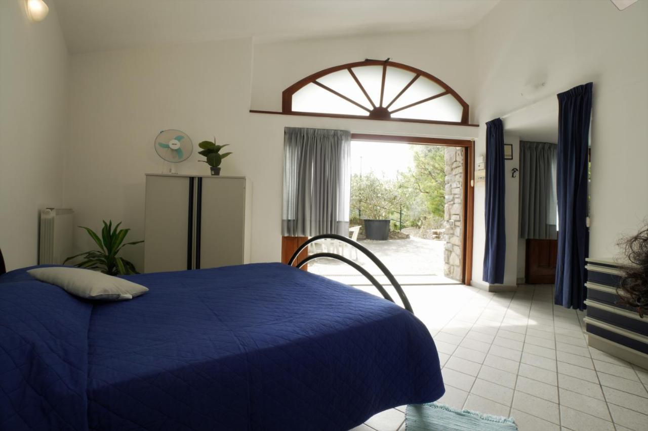U Ciousu By Ligurian Life Appartamenti In Agriturismo Vallebona Ngoại thất bức ảnh