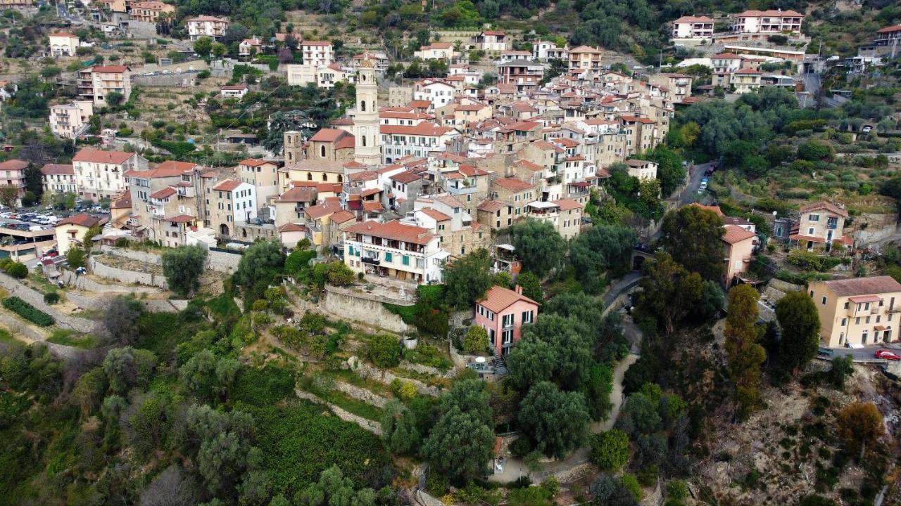 U Ciousu By Ligurian Life Appartamenti In Agriturismo Vallebona Ngoại thất bức ảnh