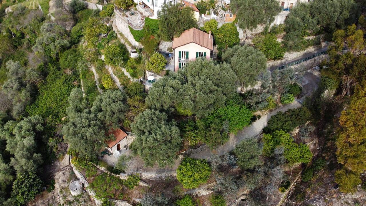 U Ciousu By Ligurian Life Appartamenti In Agriturismo Vallebona Ngoại thất bức ảnh
