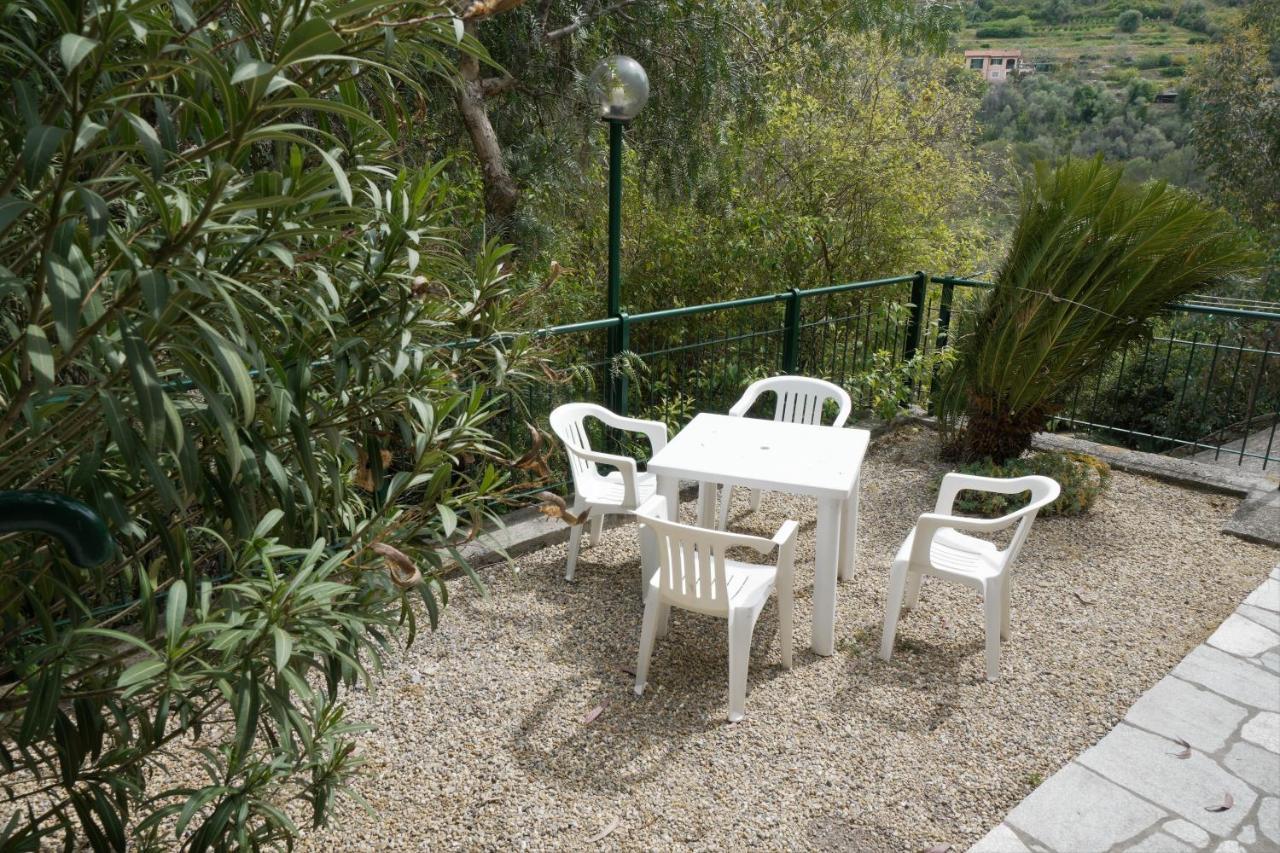 U Ciousu By Ligurian Life Appartamenti In Agriturismo Vallebona Ngoại thất bức ảnh
