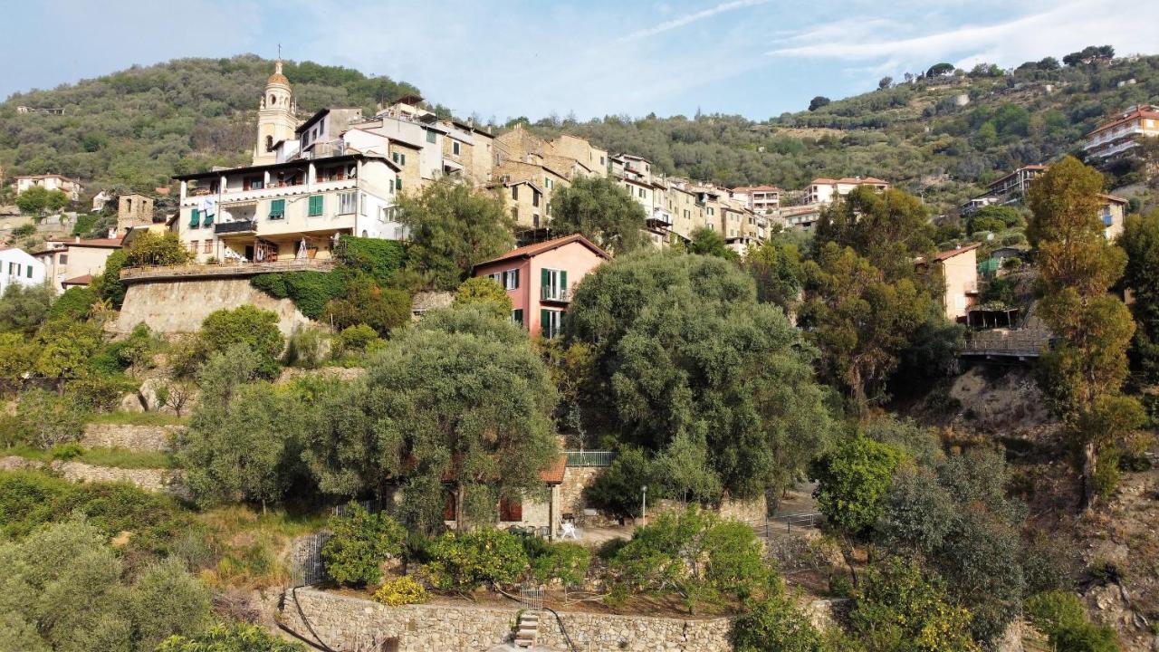 U Ciousu By Ligurian Life Appartamenti In Agriturismo Vallebona Ngoại thất bức ảnh